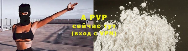 ECSTASY Армянск