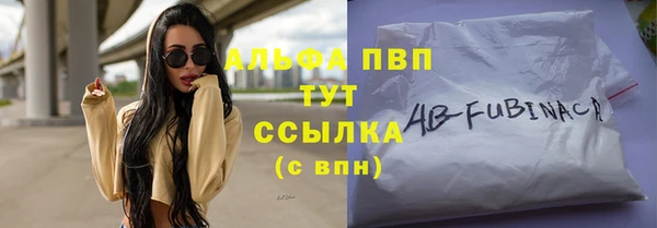 сатива Аркадак