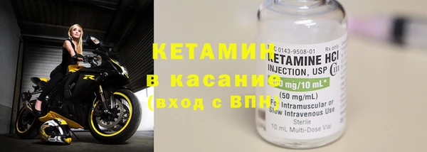 сатива Аркадак