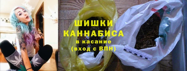 сатива Аркадак
