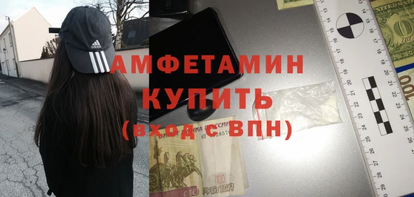 сатива Аркадак