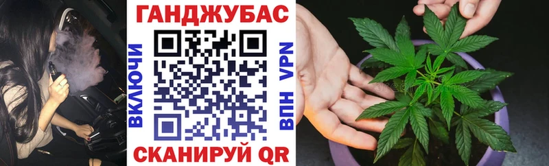 Марихуана сатива  MEGA ССЫЛКА  Кувшиново  как найти закладки 